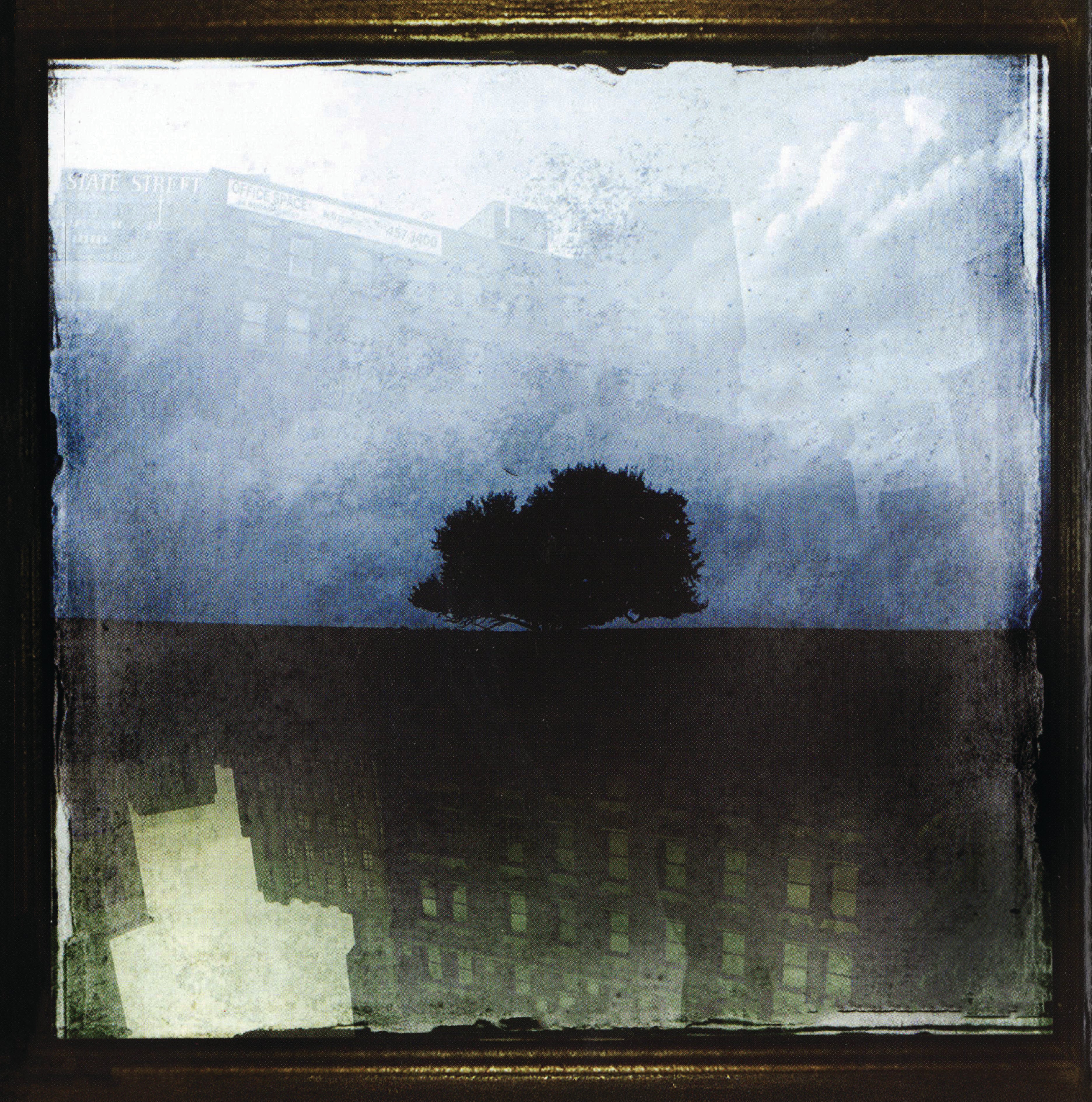 A Thousand Falling Skies- The Wilting – Tarnished Records