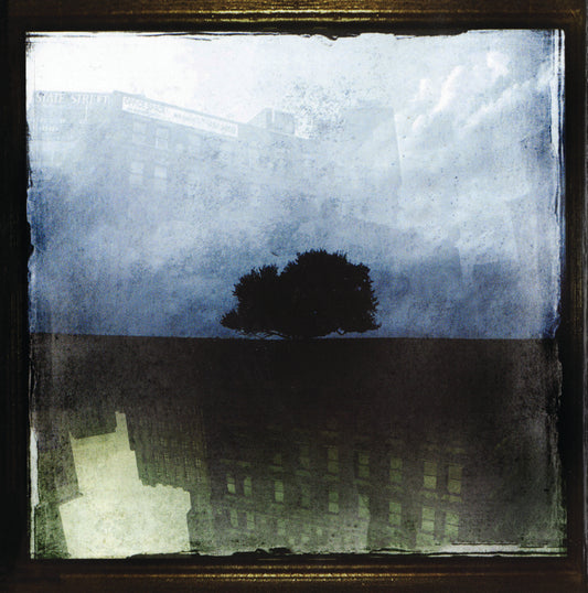 A Thousand Falling Skies- The Wilting